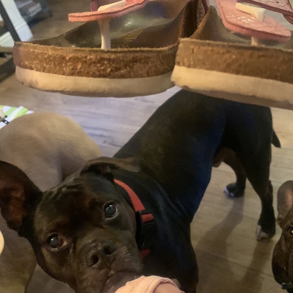 Pink Mermaid Birkenstock Gizeh - Picture 14 of 15